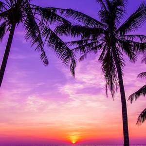 Meet your Posher, Ray